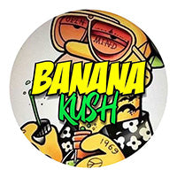 Load image into Gallery viewer, 100 PCS 3g/5g Empty Small Jars Bottles Container Powder Little Cream Series With Stickers Label Capsules