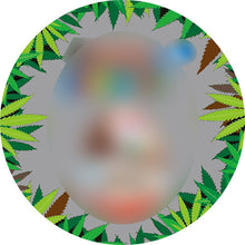 Load image into Gallery viewer, 100 PCS 3g/5g Empty Small Jars Bottles Container Powder Little Cream Series With Stickers Label Capsules